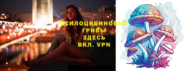 прущие крисы Лабытнанги