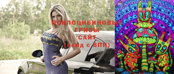 прущие крисы Лабытнанги
