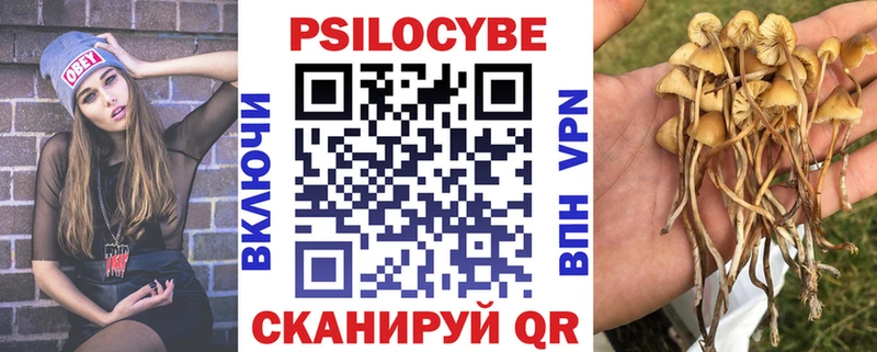 Псилоцибиновые грибы Cubensis блэк спрут зеркало Черногорск