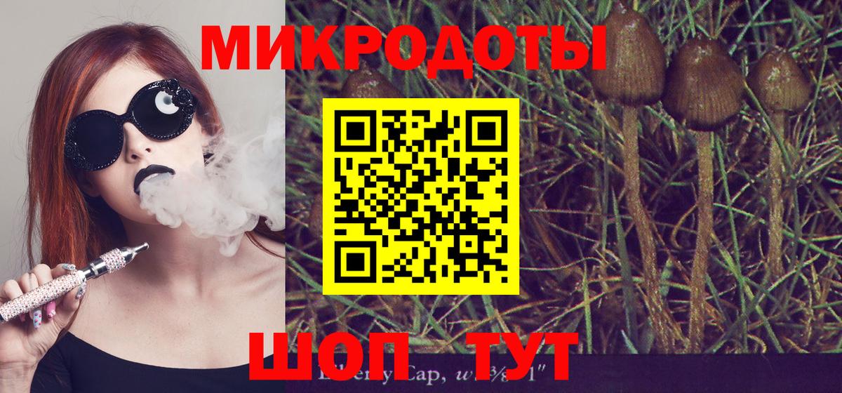 Черногорск  Псилоцибиновые грибы Psilocybine cubensis  Галлюциногенные грибы прущие грибы  Вход с VPN 